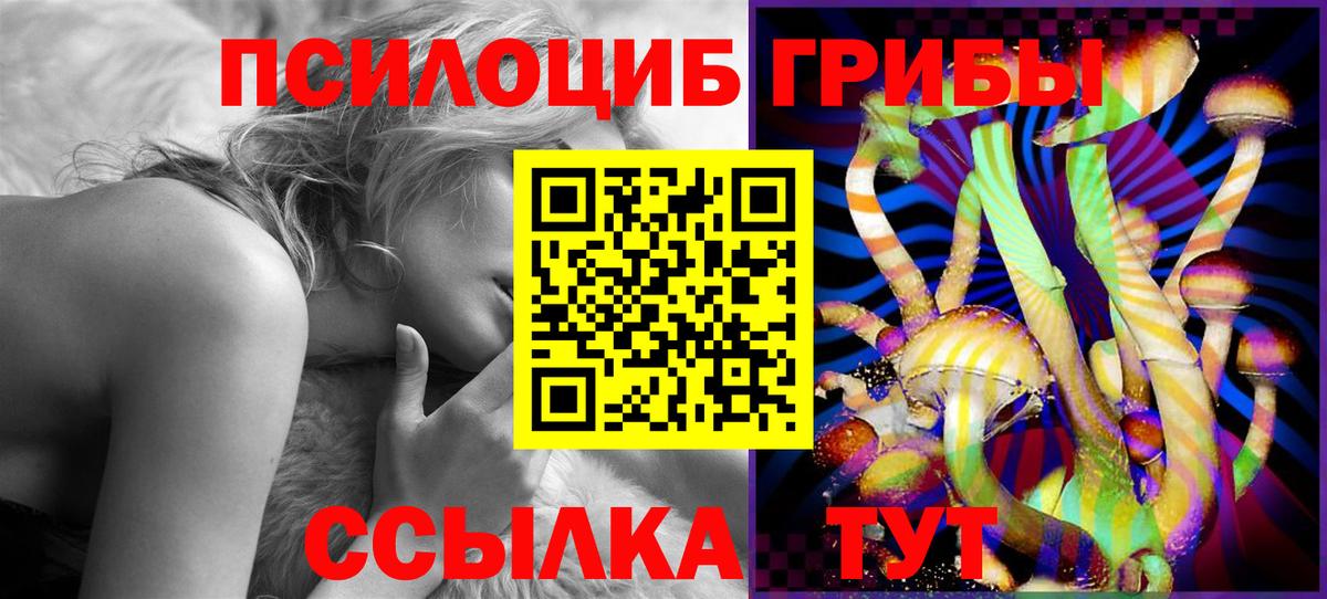 Тайшет  Галлюциногенные грибы GOLDEN TEACHER  Вход с VPN  Псилоцибиновые грибы ЛСД 